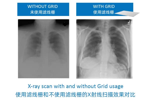 走近当立丨全球视野之荷兰贝斯特
