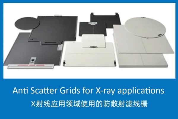 走近当立丨全球视野之荷兰贝斯特
