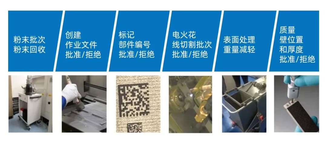 走近当立丨全球视野之荷兰贝斯特